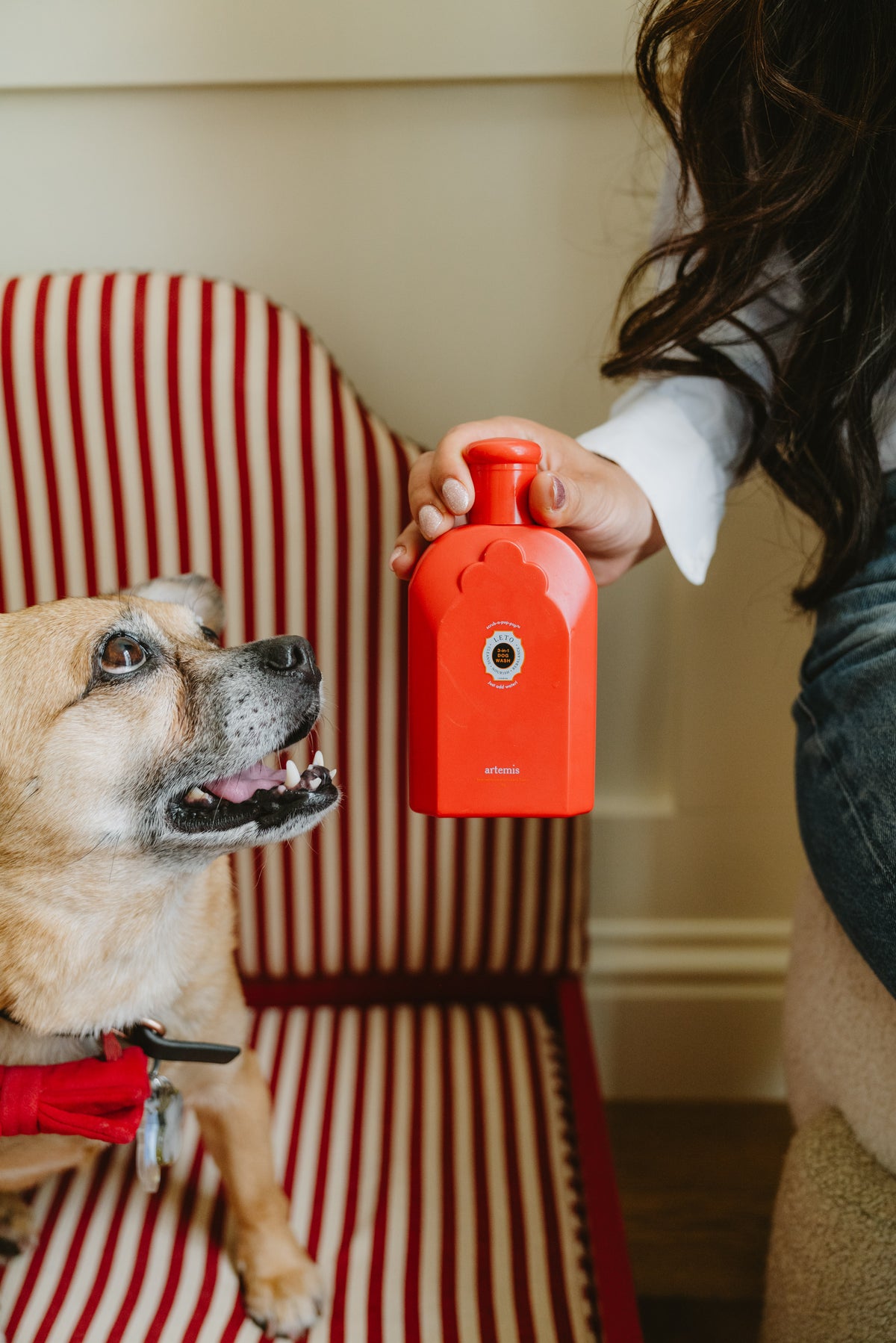 Leto 3-in-1 Dog Wash