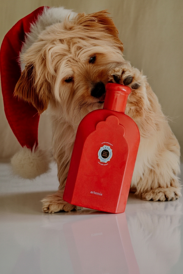 3-in-1 Powder-to-Lather Dog Wash