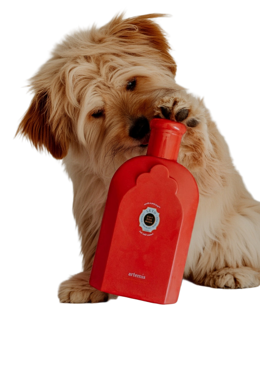 Dog holding a red bottle with a visible brand logo on a white background